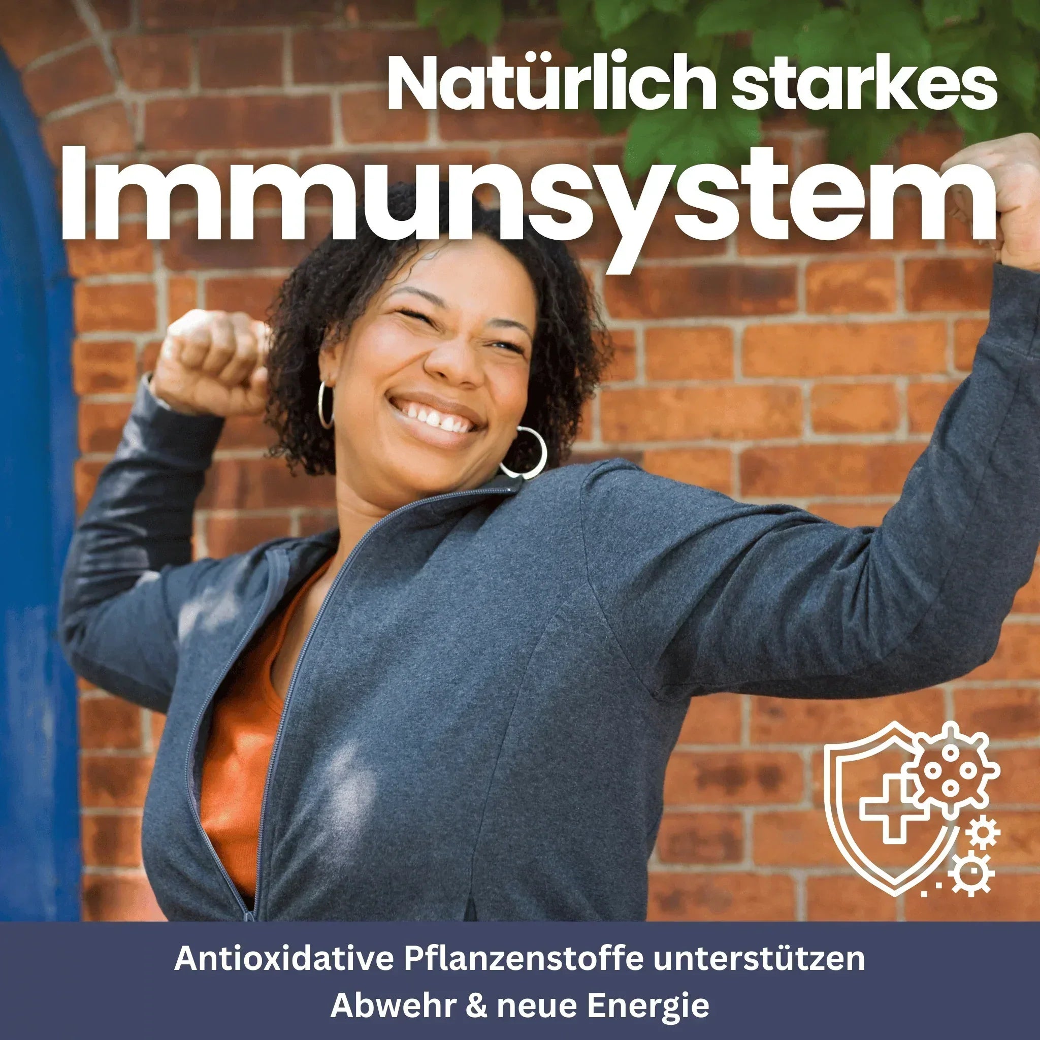 Shilajit Honey Sticks