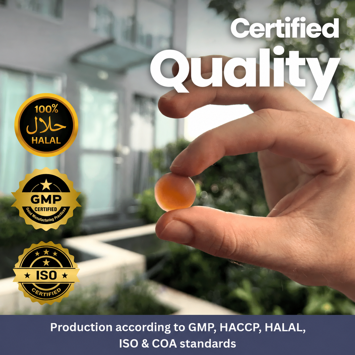 Shilajit Gold Gummis