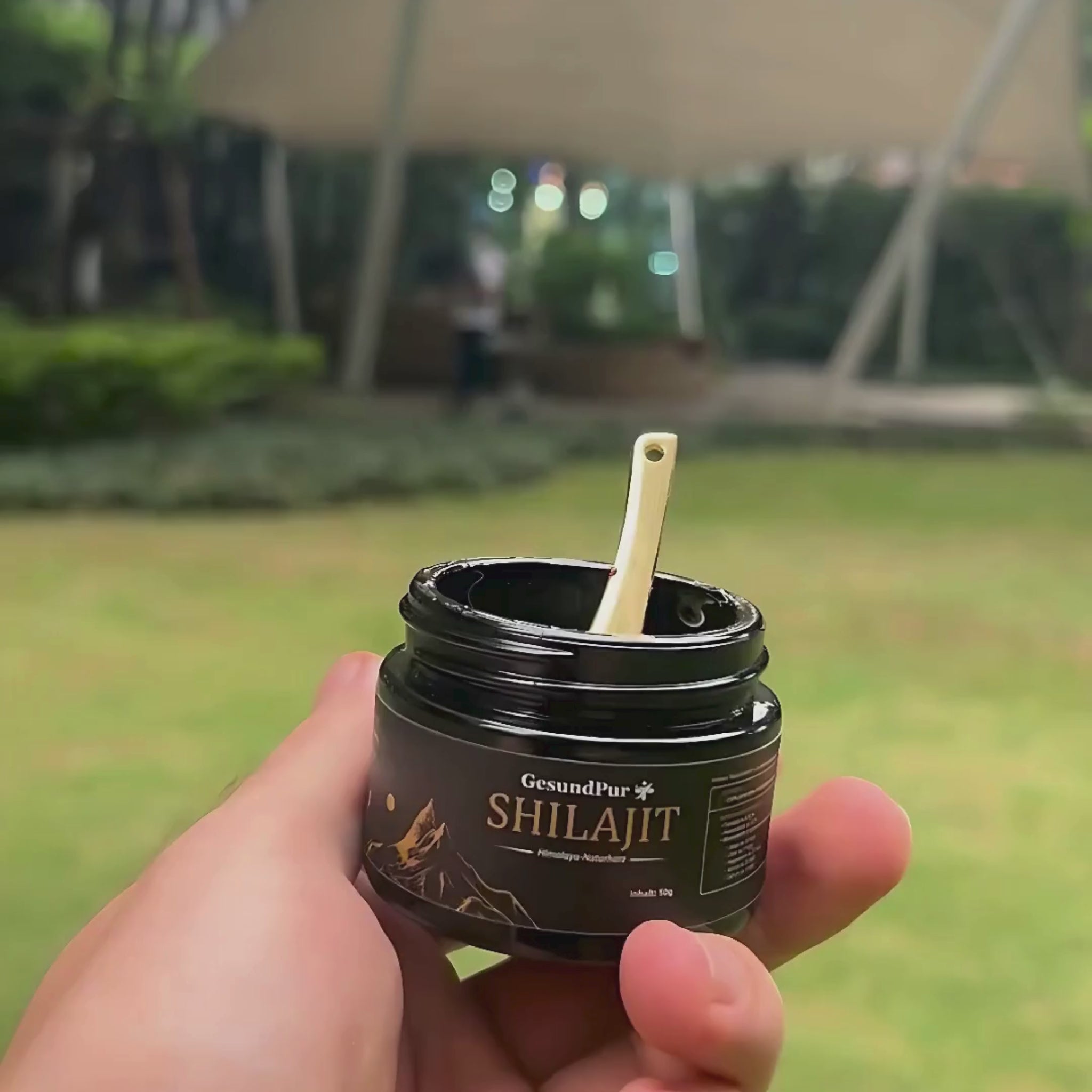 Shilajit – The Original